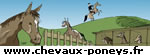 Activité équestre Centres équestres & Poneys club - Centres, écuries & établissements équestres sur Chevaux-Poneys.fr